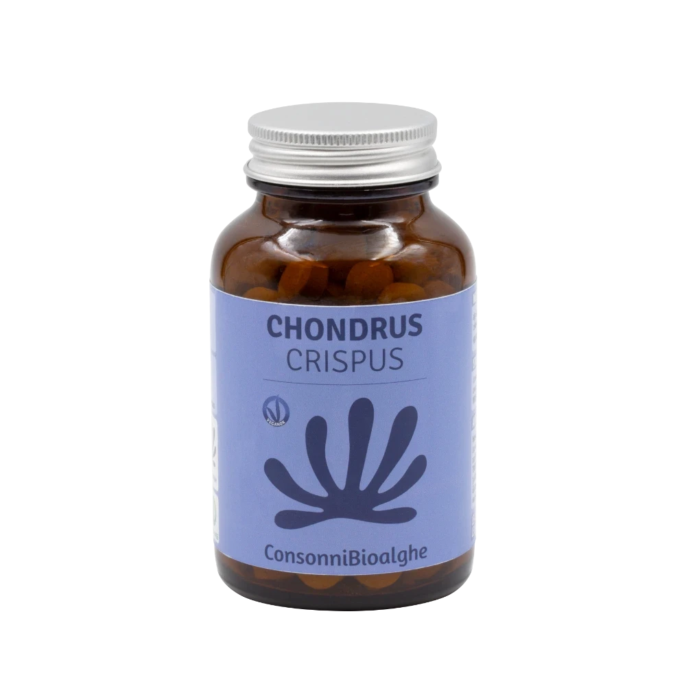 Chondrus Crispus è l’alga per ritrovare la regolarità intestinale in modo naturale. Pulisce l’intestino dalle scorie e dalle impurità.